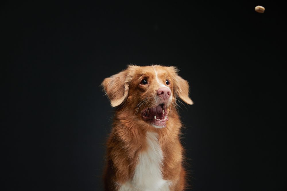 Photograph by Лана Полякова