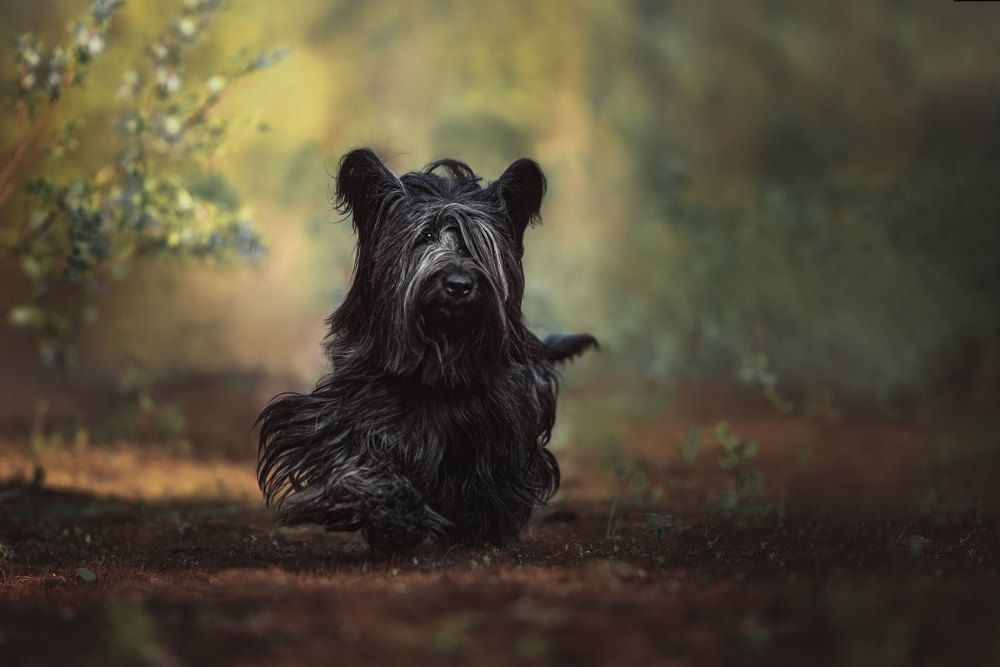 Фотография автора Ирина Мороз