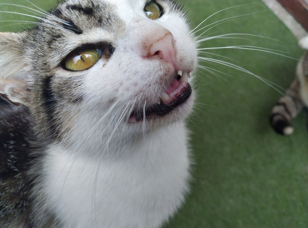 Photograph by Bojan Nikolovski