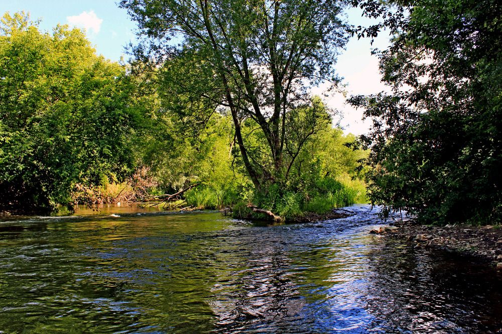 Photograph by Александр Бугаенко