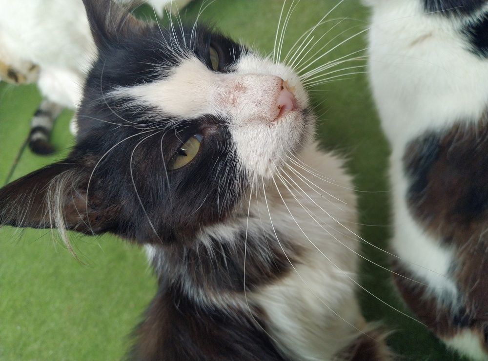 Photograph by Bojan Nikolovski