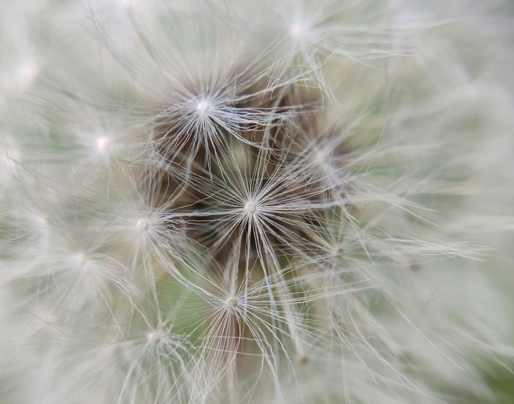 Фотография автора Станислав Ермолин