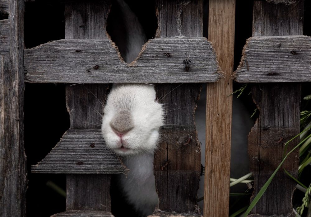 Photograph by Алина Акишина