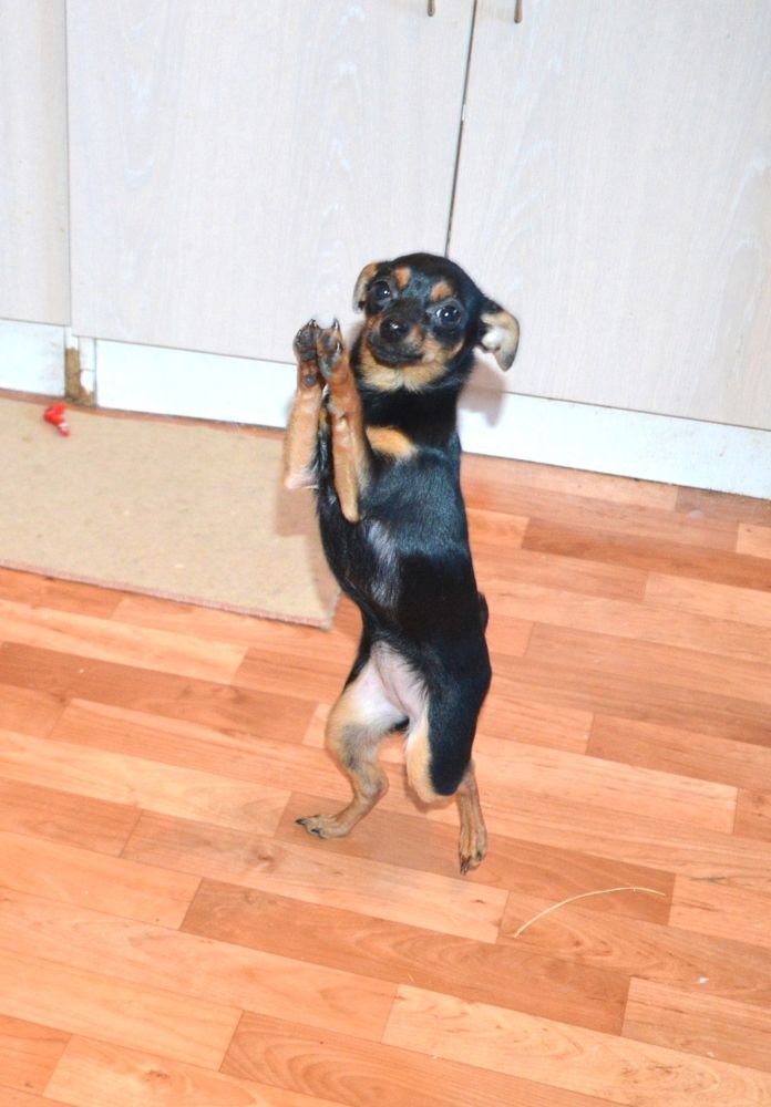 Photograph by Людмила Скочилова