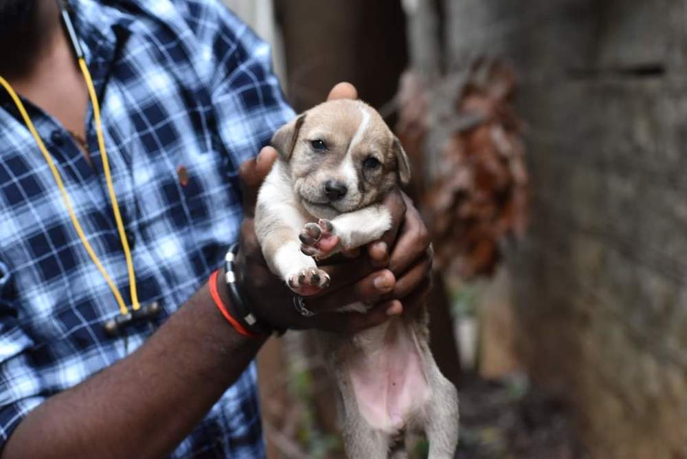 Photograph by Satarupa Mukherjee