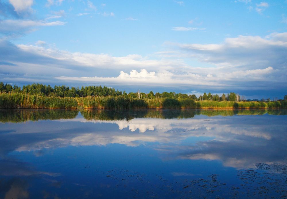 Photograph by Павел Минкевич