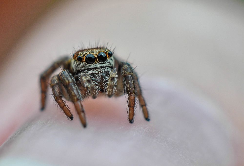 Photograph by Олеся zme