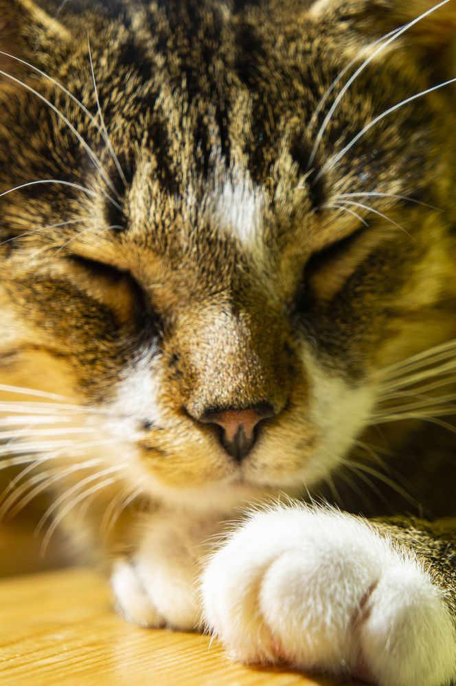 Photograph by Павел Минкевич