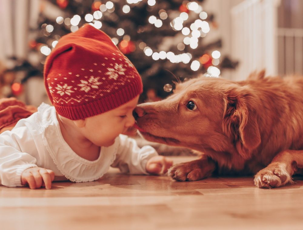 Photograph by Sophie Haek