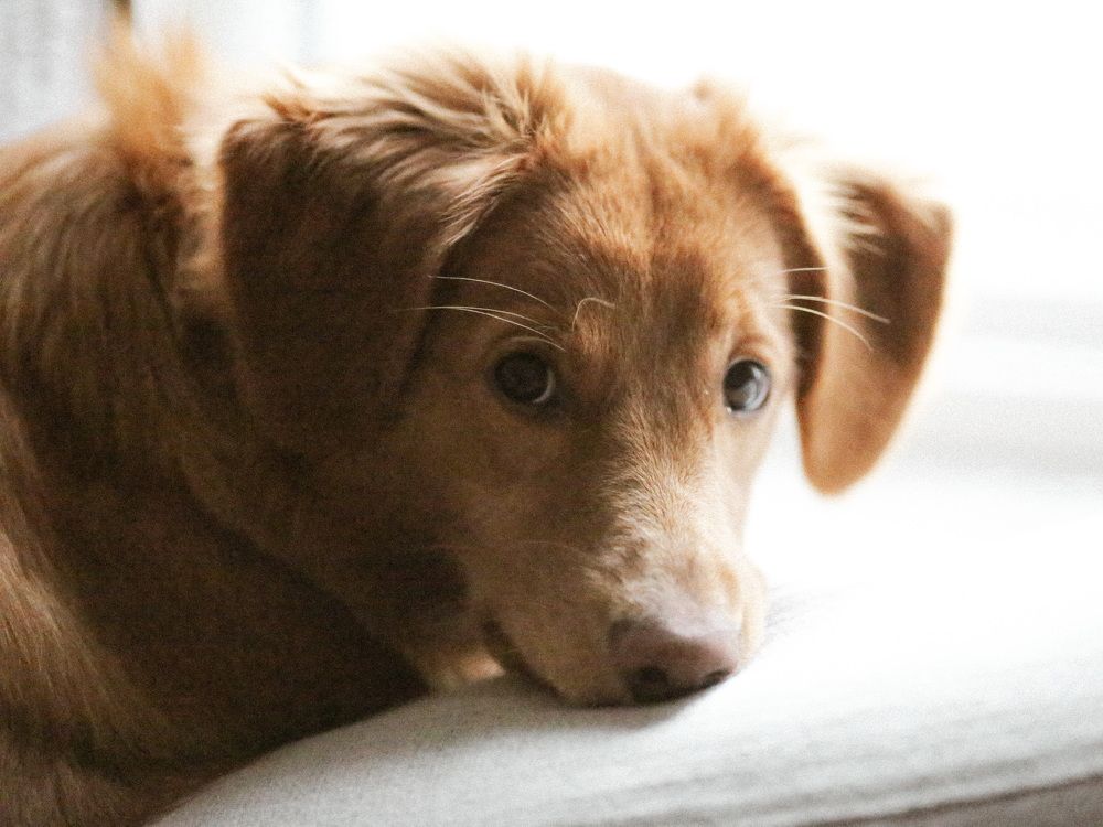 Photograph by Sophie Haek