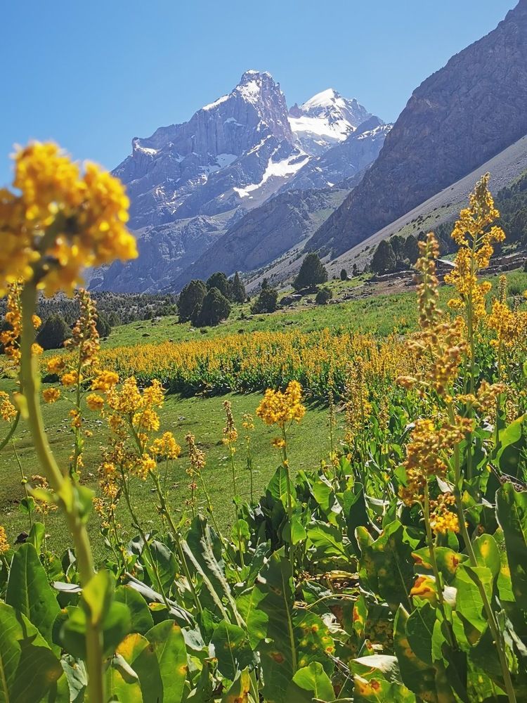 Alaudin Lakes area, Fan Mountains, Tajikistan