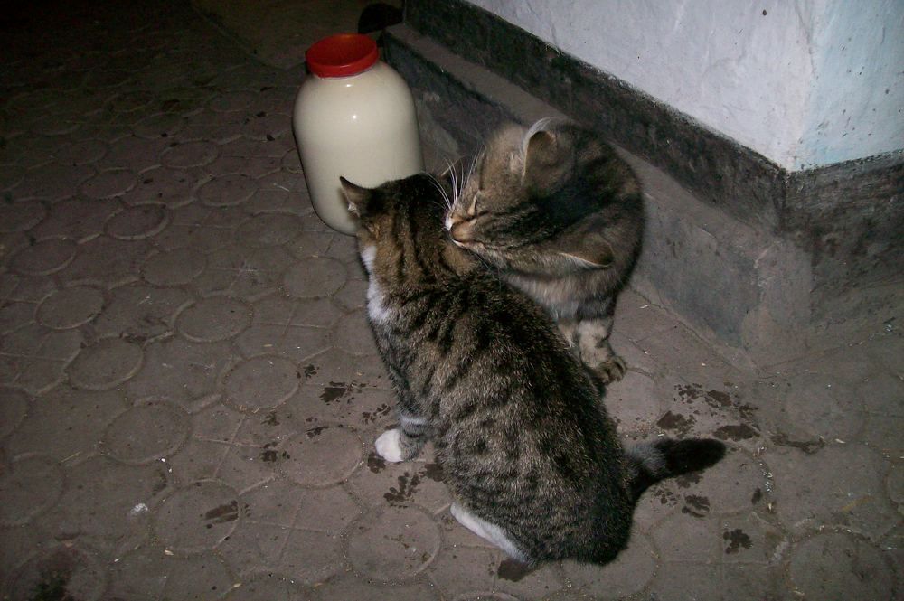 Photograph by Иван Скорик