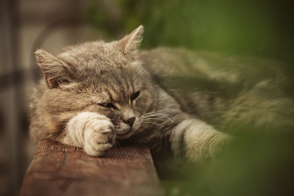 Photograph by Дарья Бухреева