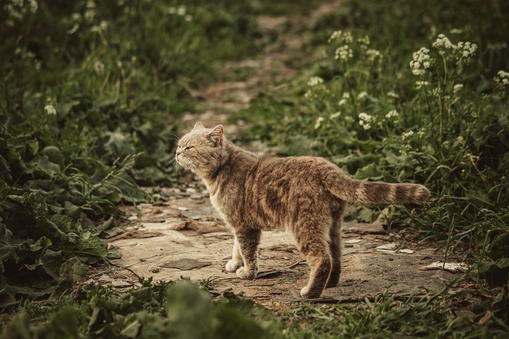 Photograph by Дарья Бухреева