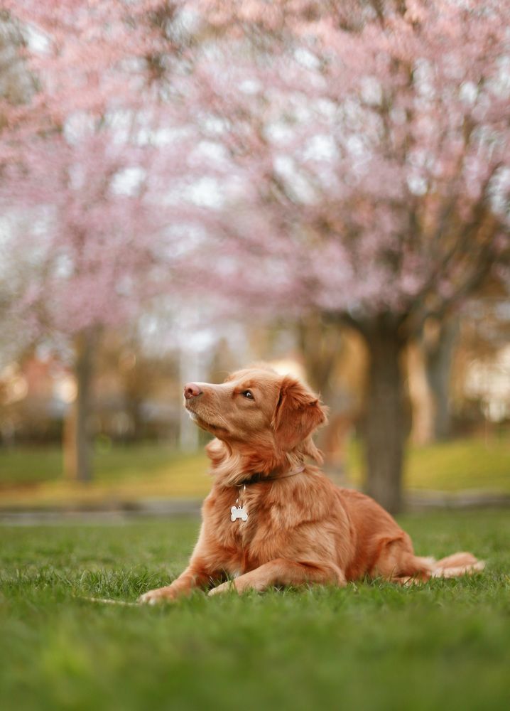 Photograph by Sophie Haek