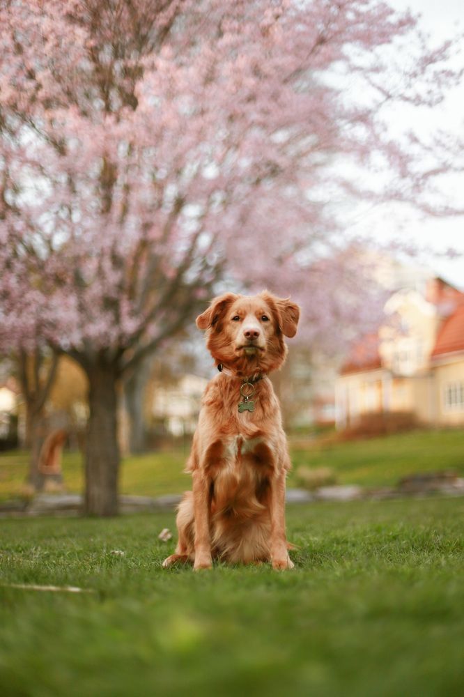 Photograph by Sophie Haek