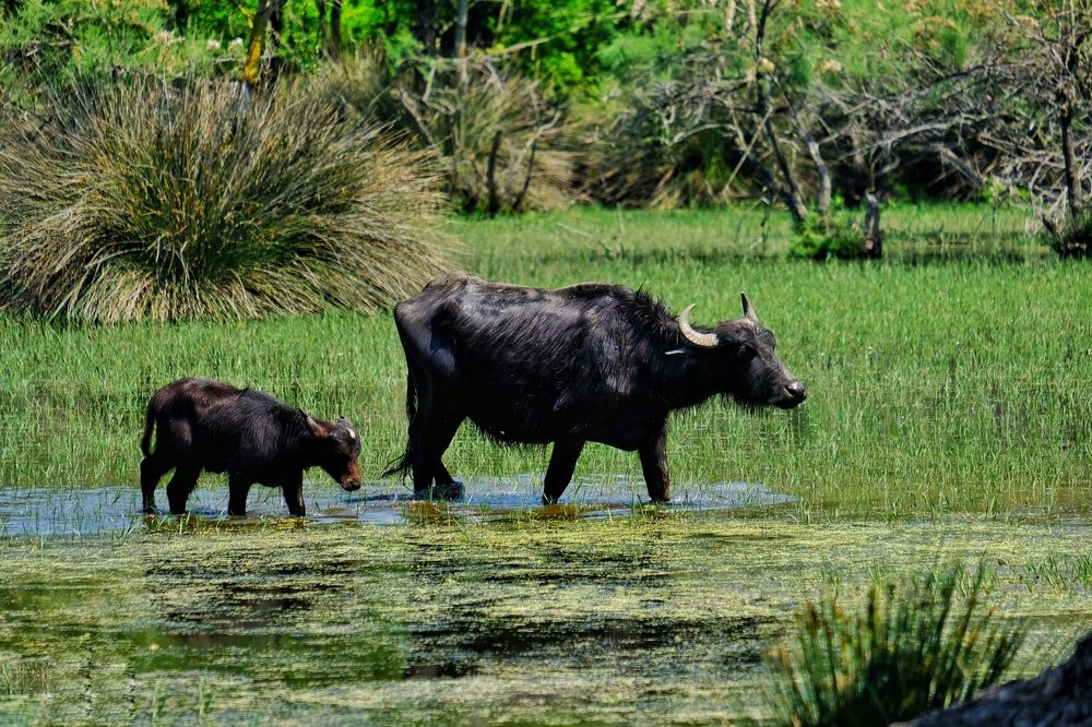 Photograph by Ali Kamil Seren