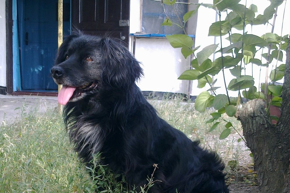 Photograph by Иван Скорик