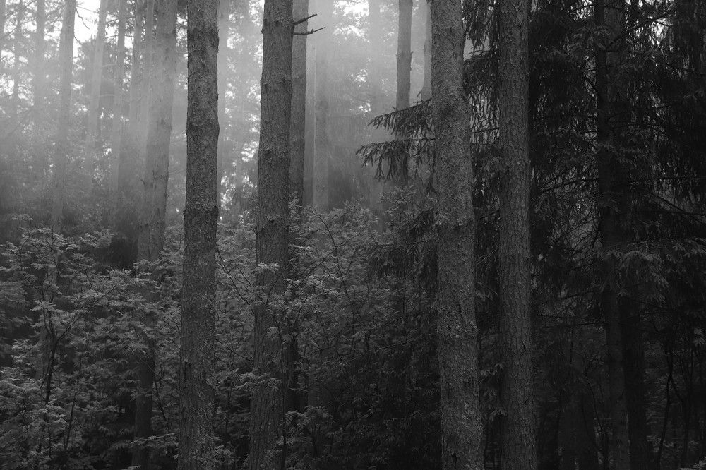 Photograph by Лада Денисова