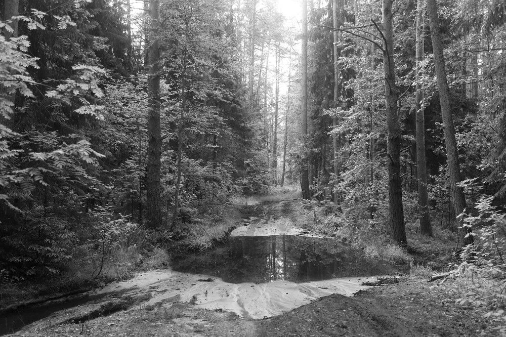 Photograph by Лада Денисова