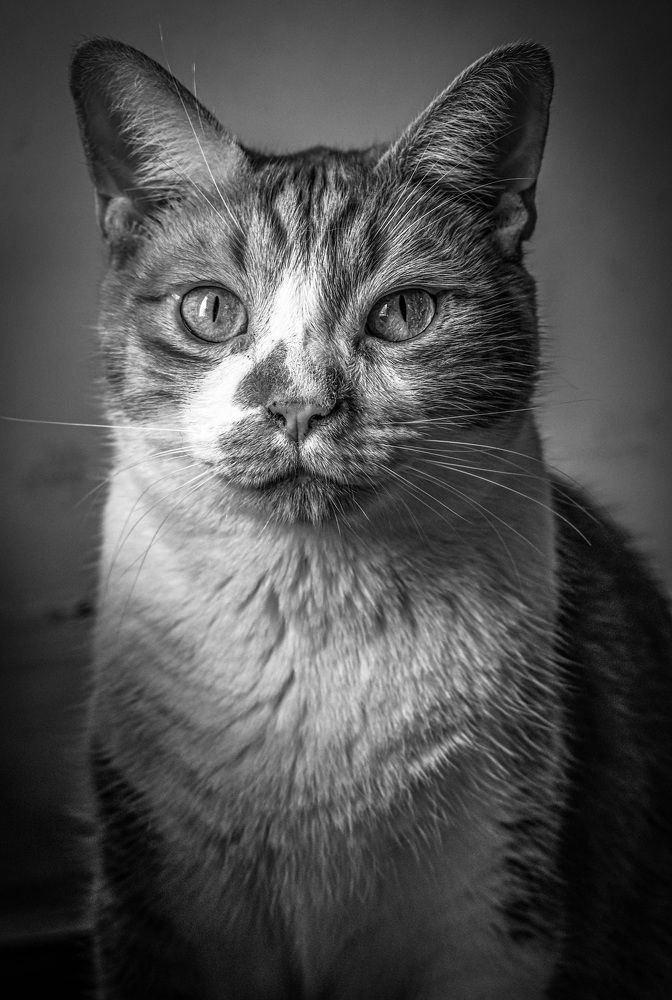 Фотография автора Jesse Cavalcante