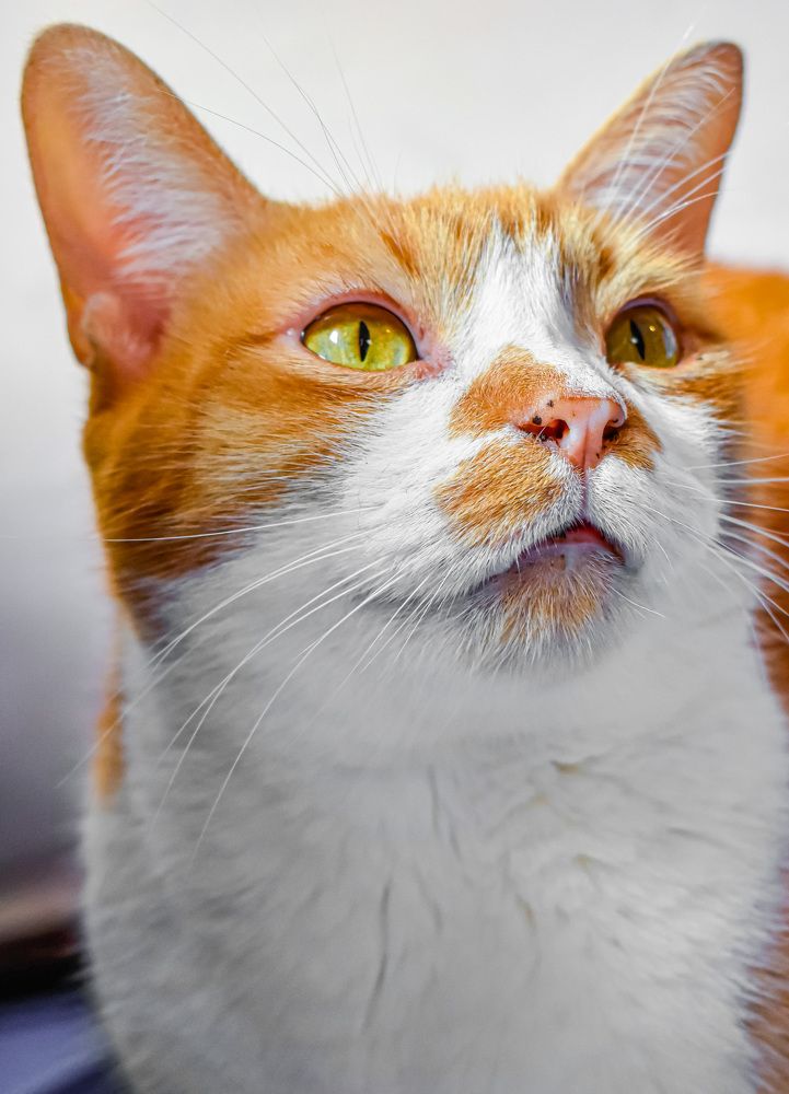 Фотография автора Jesse Cavalcante