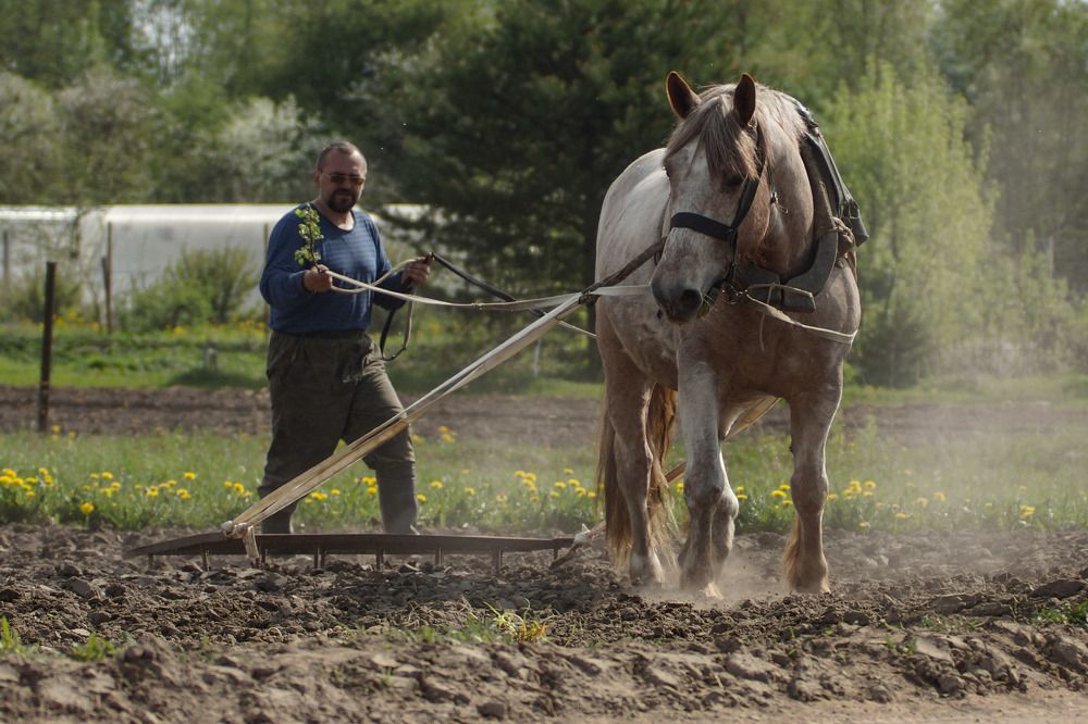 Photograph by Татьяна Шандромайло