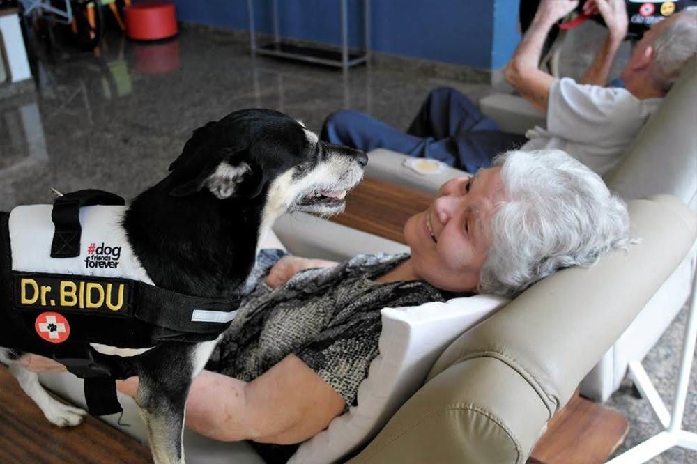 Dr Bidú and his friends