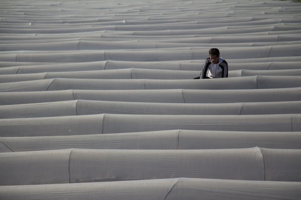 Photograph by amin Sharafiani