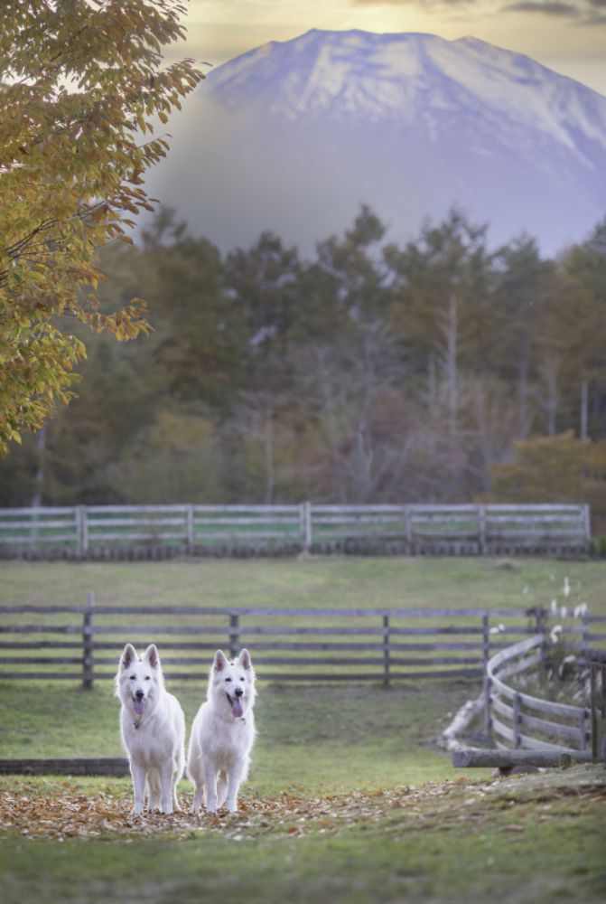 Photograph by Syundyukova Oksana