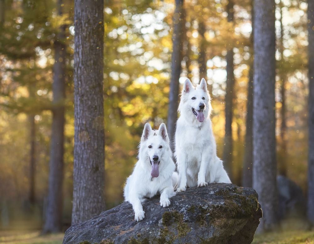Photograph by Syundyukova Oksana