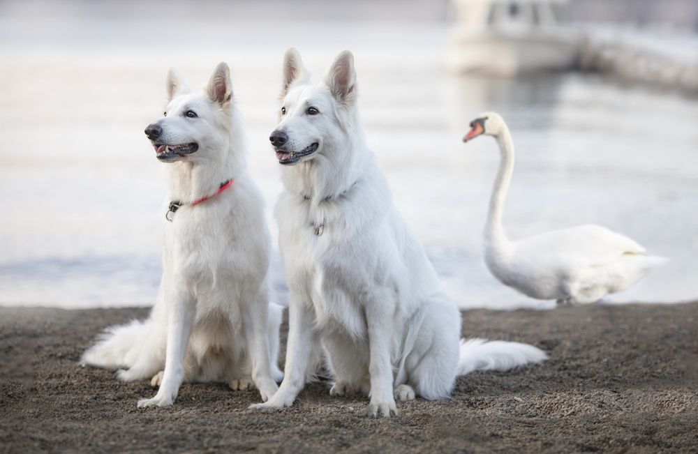 Photograph by Syundyukova Oksana