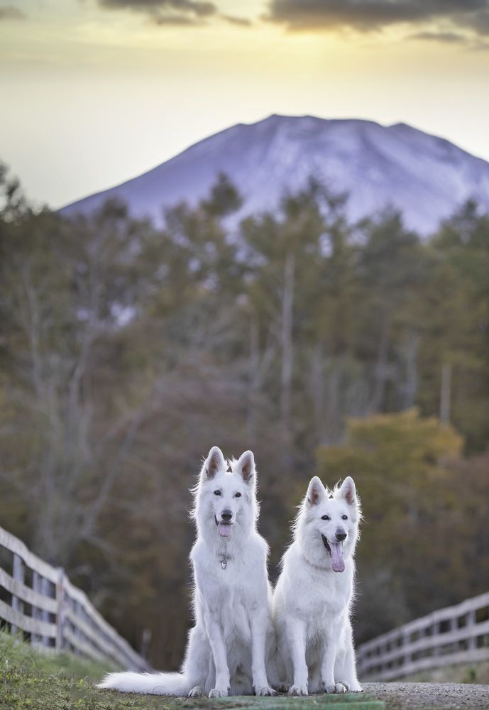 Photograph by Syundyukova Oksana