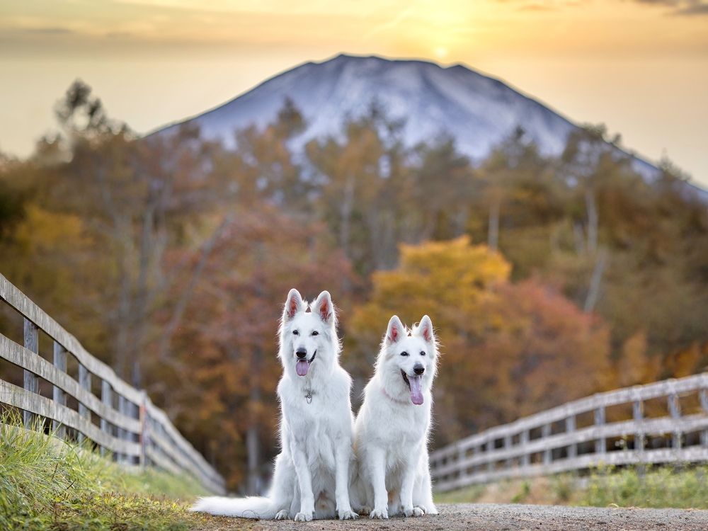Photograph by Syundyukova Oksana