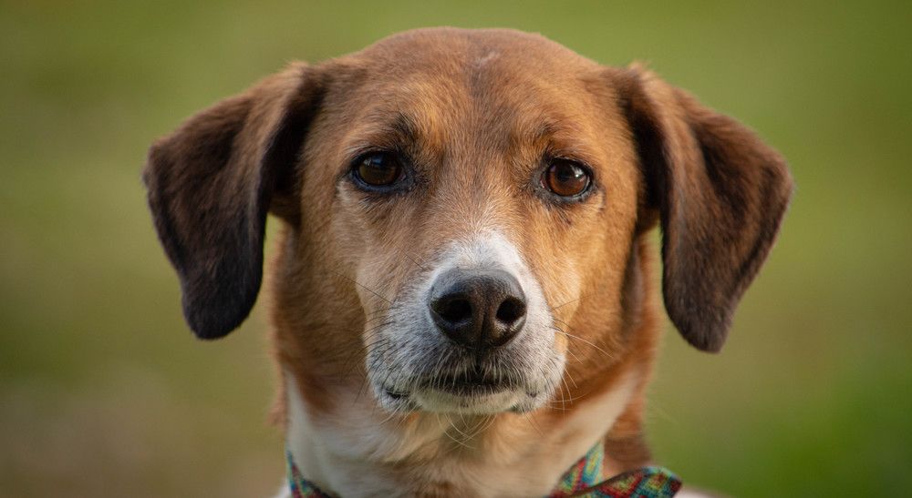 Фотография автора Claudia Luna