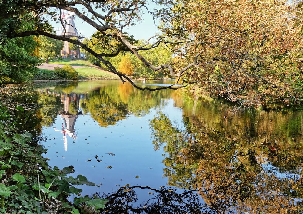 Фотография автора Ольга Виноградова