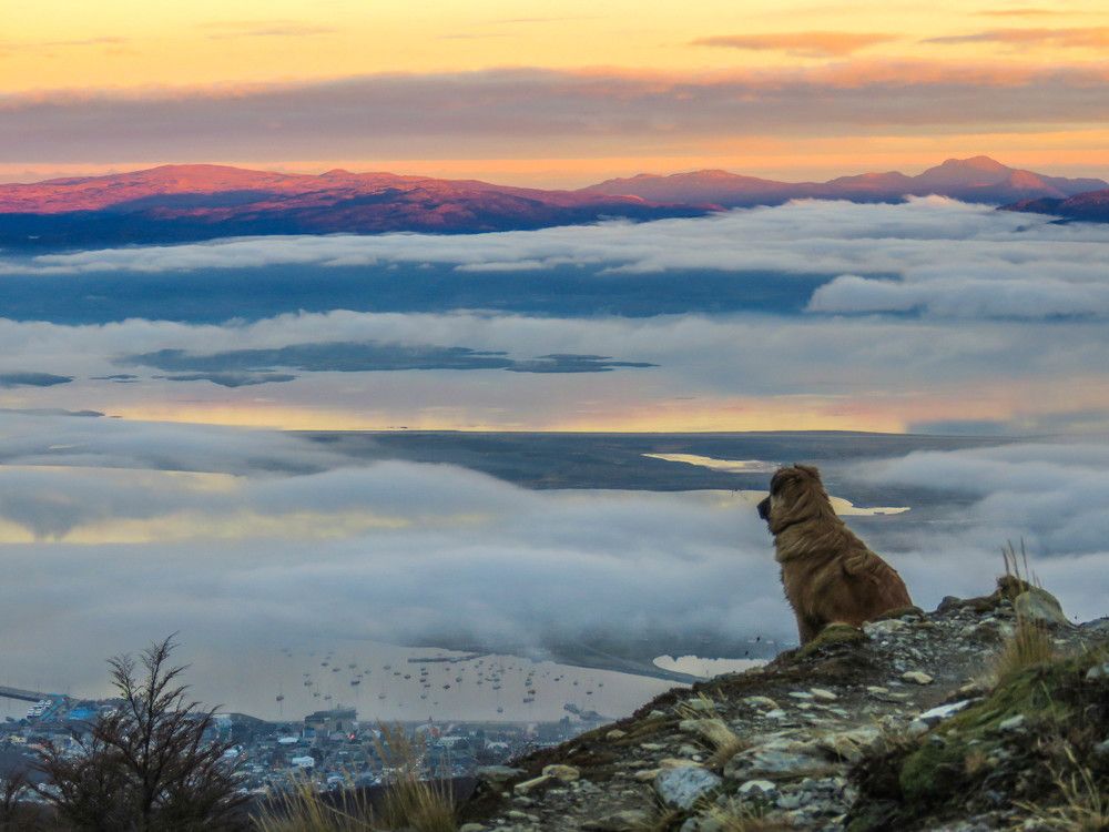 Фотография автора Raul Torres