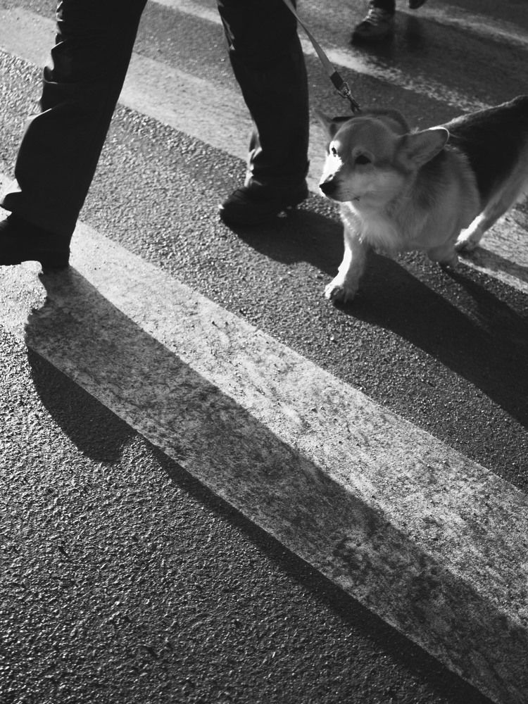 Photograph by Dmitry Butusov