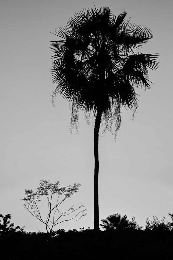 Photograph by Gerson Ricardo Costa Farias