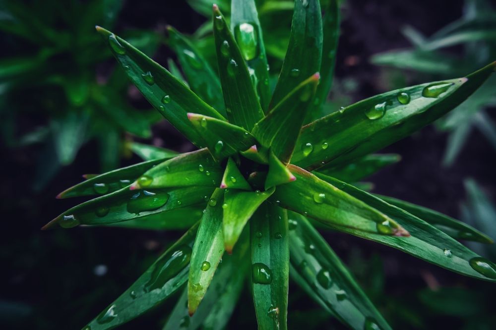 Photograph by Артем Гельм