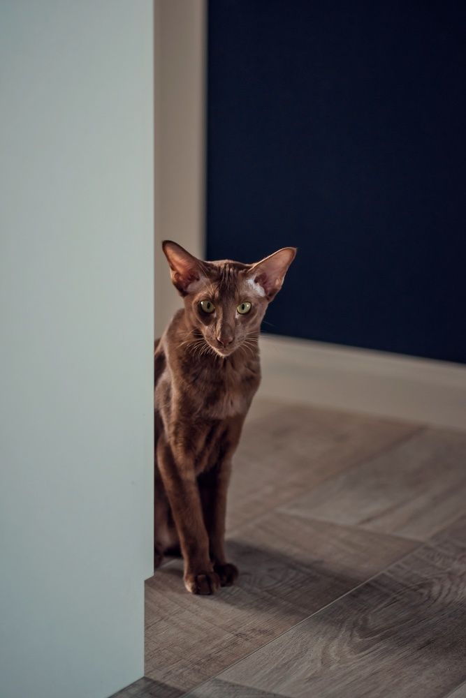 Photograph by Мария Путинцева