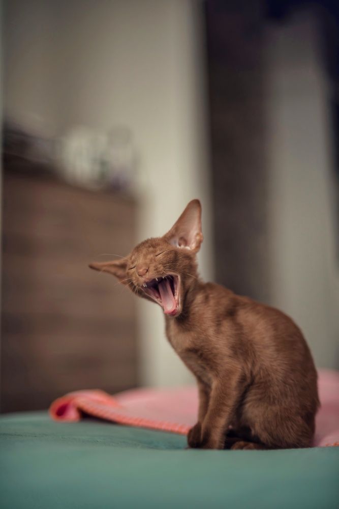 Photograph by Мария Путинцева