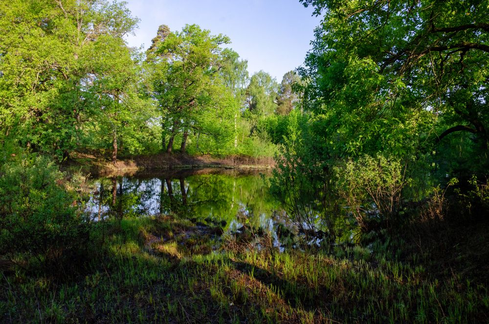 Photograph by Александр Юсов