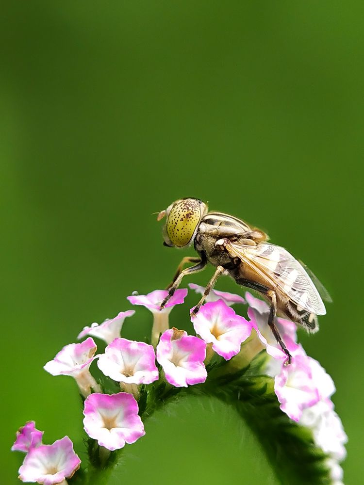 Photograph by Akash Pani