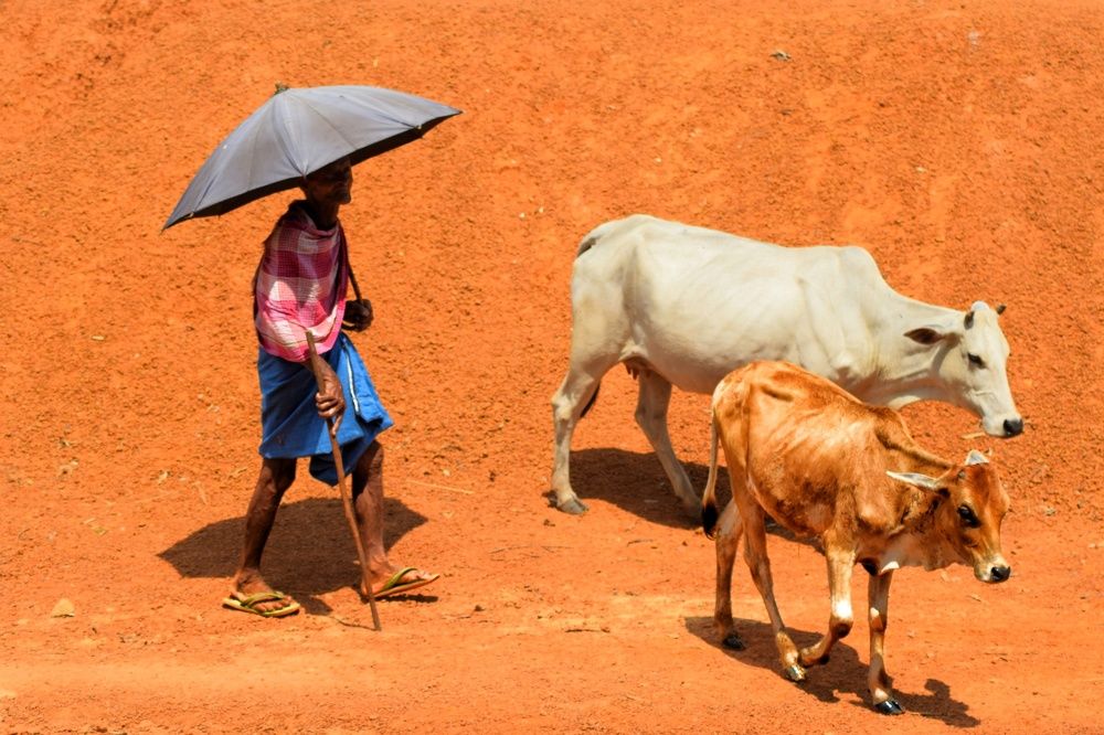 Photograph by Prithwiraj Sarkar