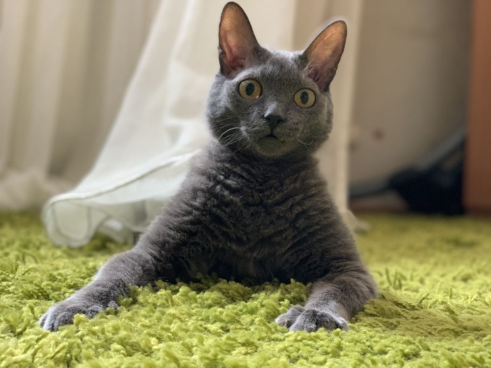 Photograph by Inna Shevchenko