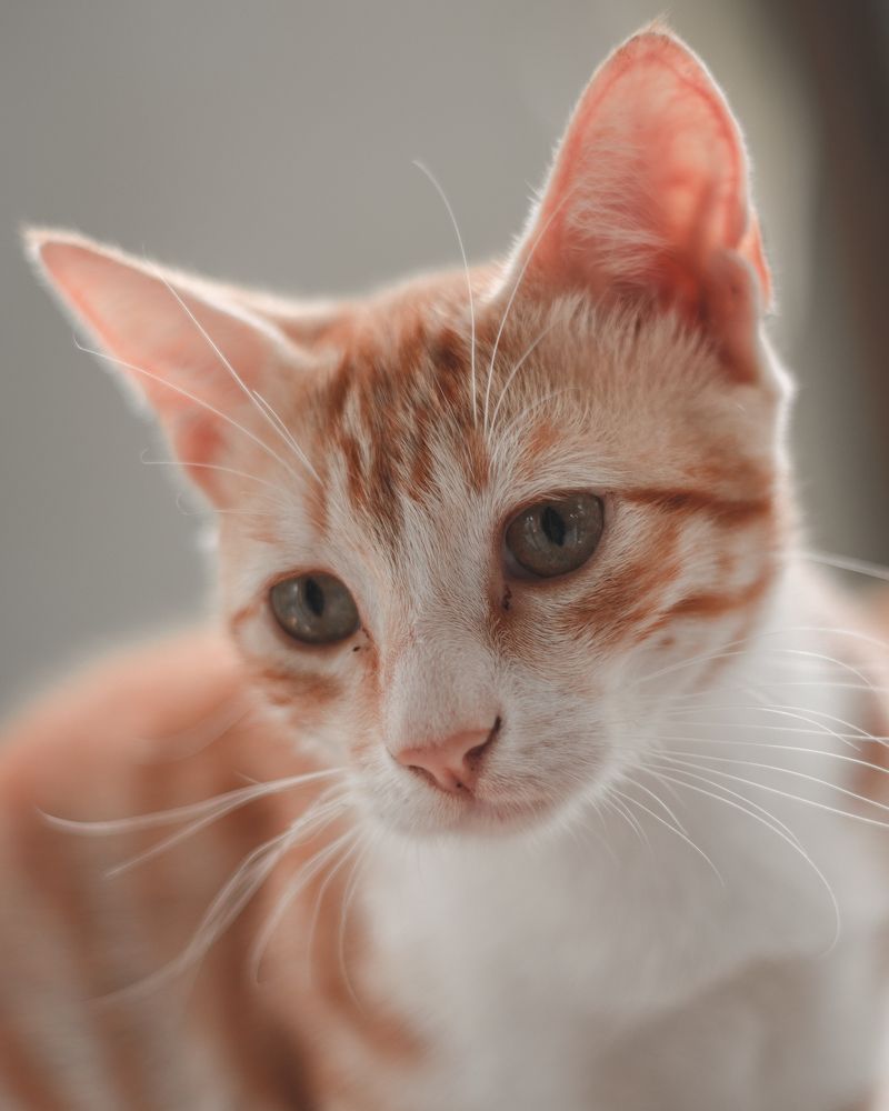 Photograph by Thilina Jayathilaka