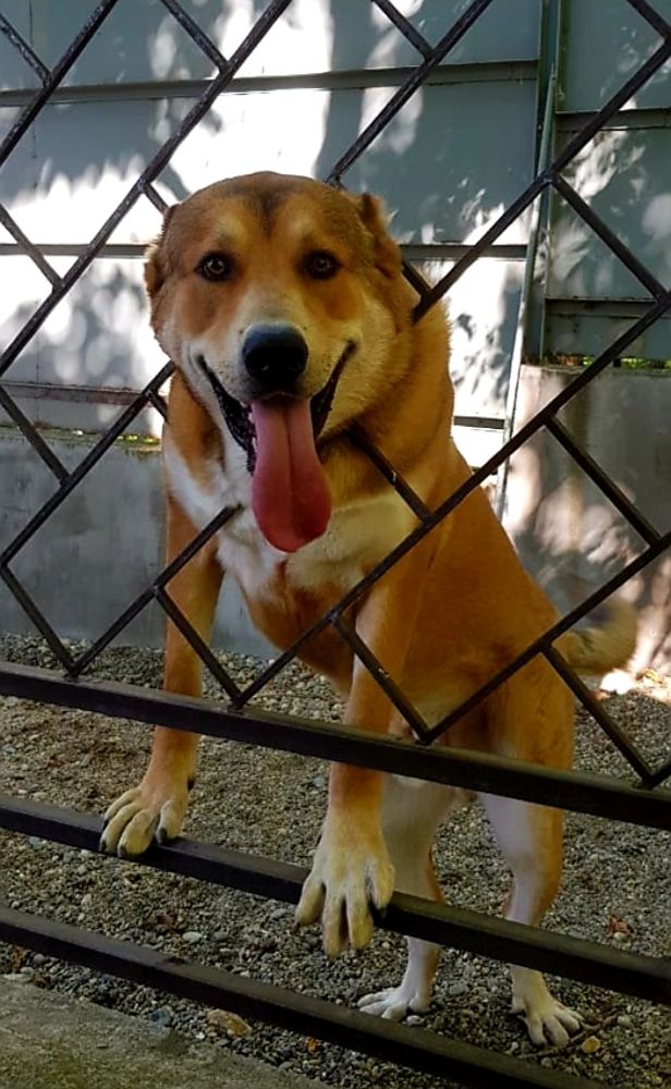 Photograph by Рафаил Манафов