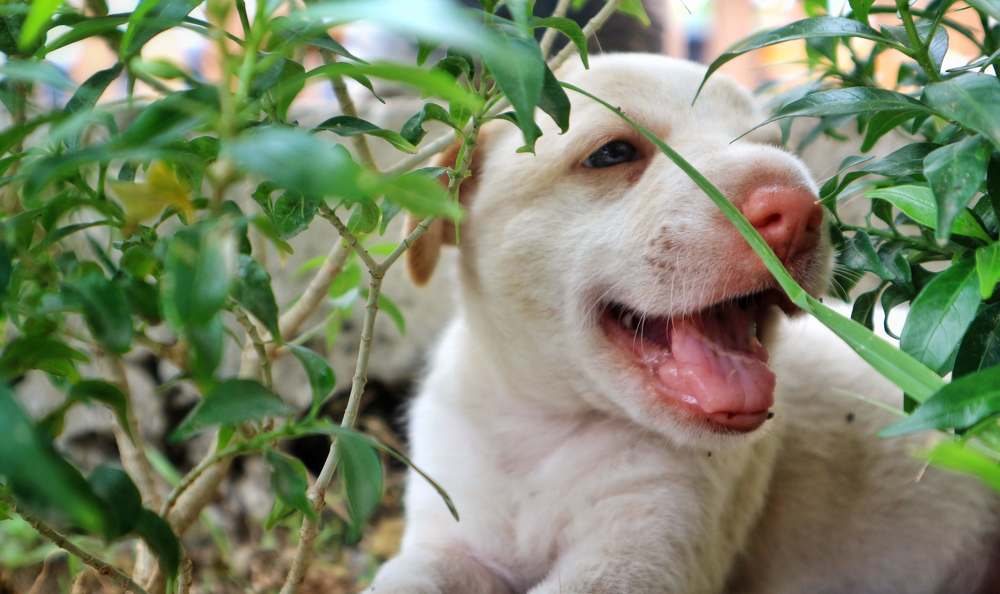 Photograph by Richard Aaron San Lorenzo