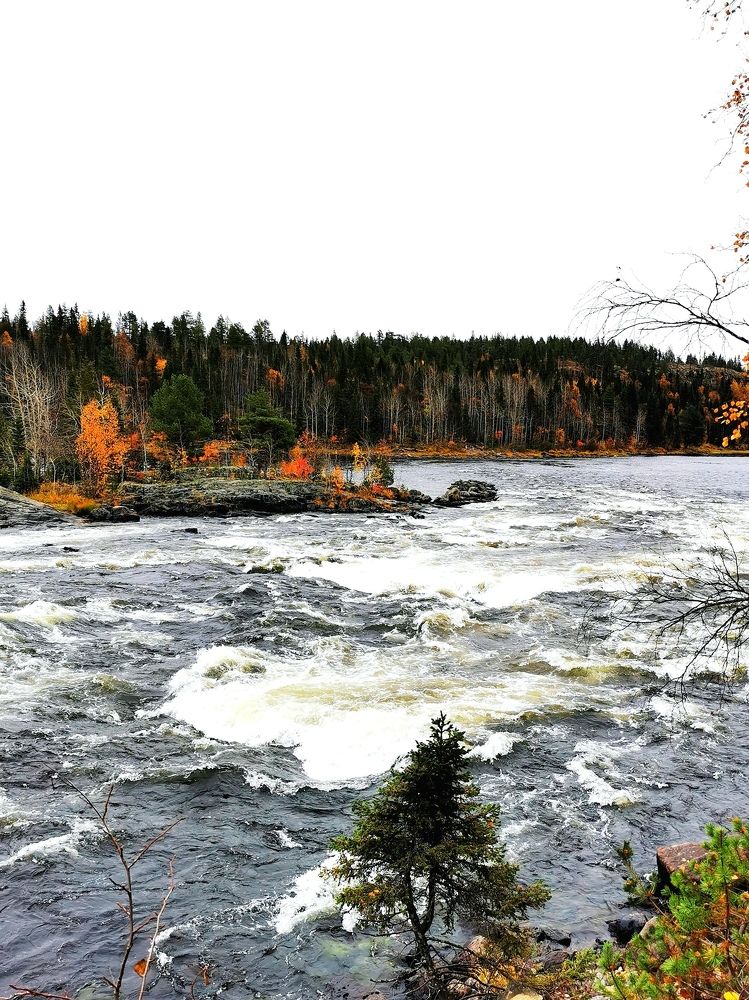 Photograph by Елена Артёменко